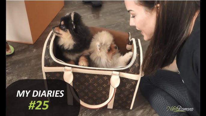 Anyone have a dog carrier? How does it hold up and cleaning? Idk if I want  to get a luxury one or not. : r/Louisvuitton