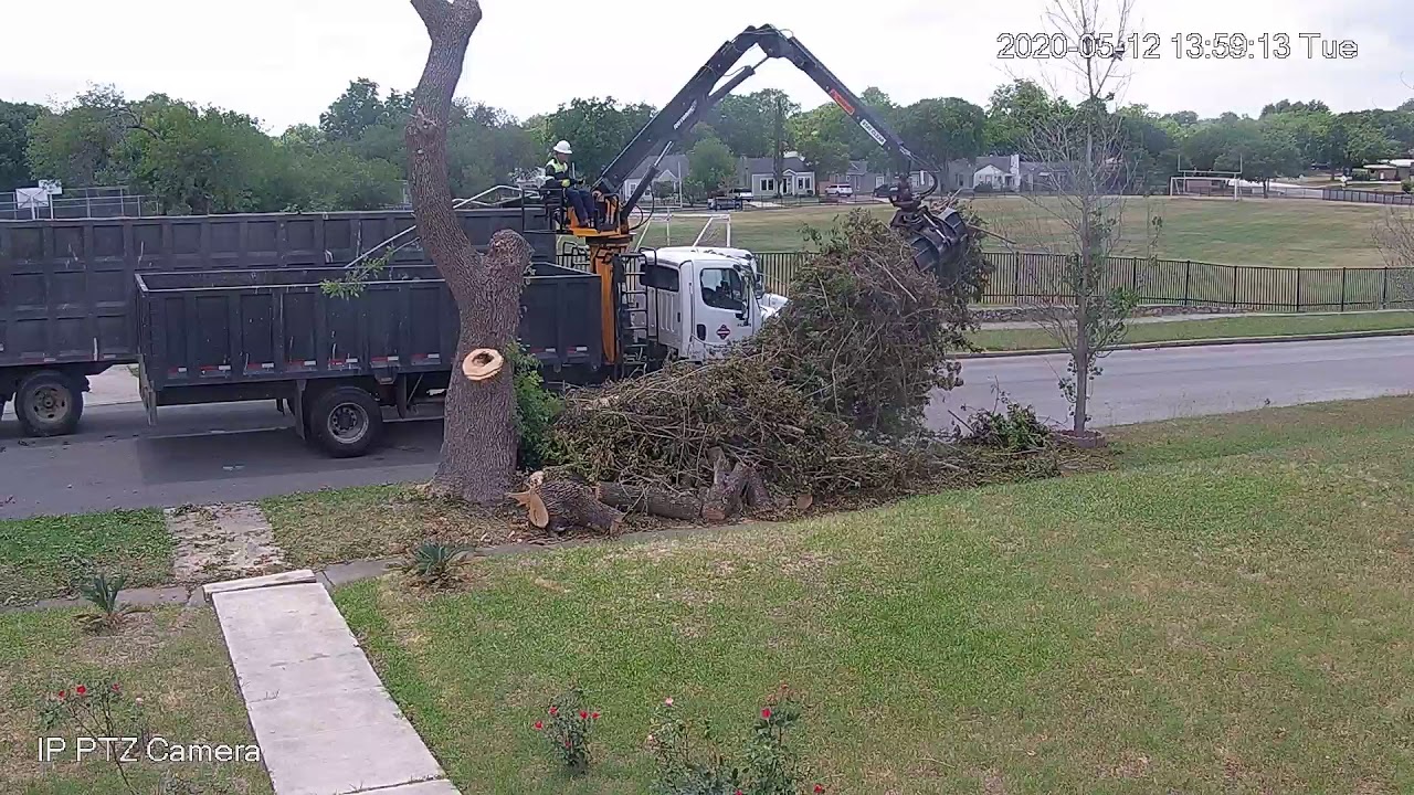 City of San Antonio brush collection YouTube