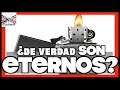 ZIPPO: ¿DE VERDAD SON ETERNOS?