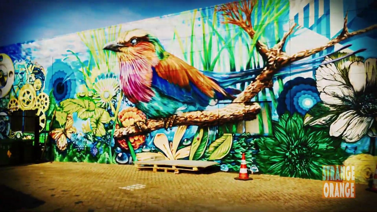 Strange Orange - Celebrating the Spring and Eindhoven, our hometown