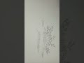 drawing.1st video #drawing#shorts#