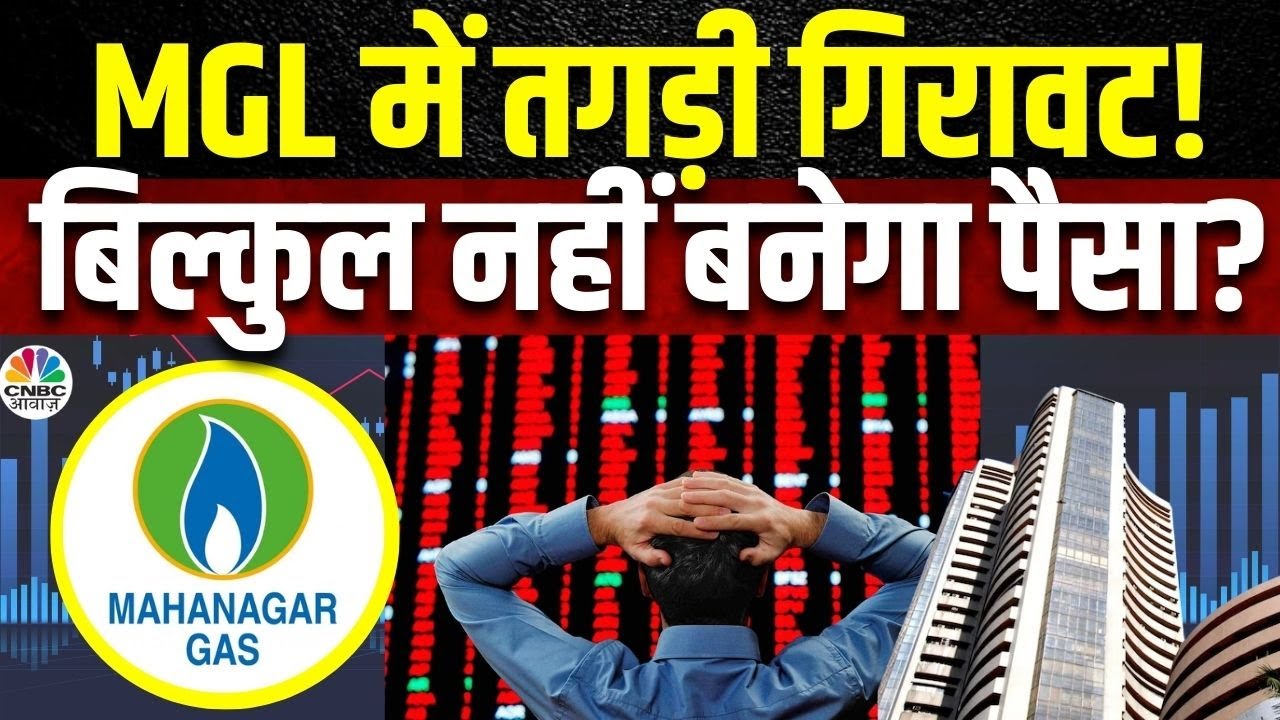 MGL Shares Downfall Reasons CITI Rating MGL Shares Downfall Reasons CITI Rating