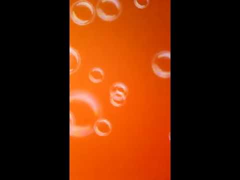 سلطان العماني ابوي الحنين حصريا 