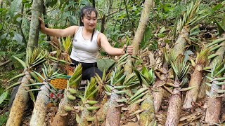 Harvesting wild bamboo shoots, peeling and boiling them and bringing them to the market to sell.