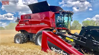 Case IH 9250 Axial-Flow Combine Harvesting Wheat