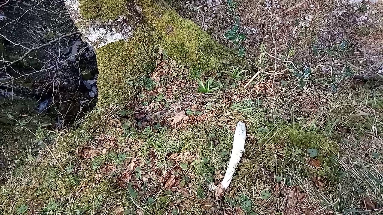 Arroyo Sogrande. La grandeza del monte