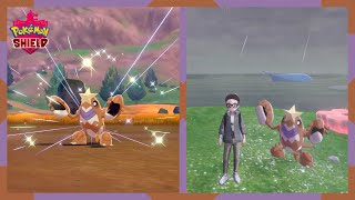 Shiny Crawdaunt after 1097 Soft Resets! | Pokemon Sword & Shield screenshot 5