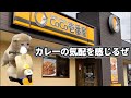 CoCo壱でカレーを食べた何気ない話【猫ミーム】