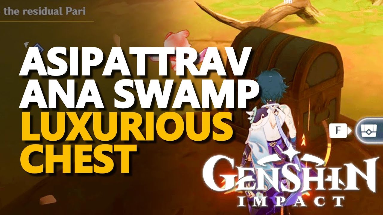 Asipattravana Swamp Luxurious Chest Genshin Impact YouTube