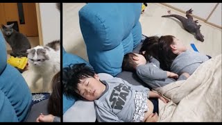 自宅待機なので皆で昼寝する家族 ＆ ウロつく猫たち