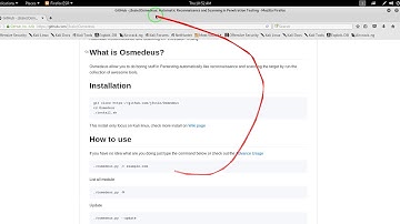 Osmedeus - Automatic Reconnaissance And Scanning In Penetration Testing