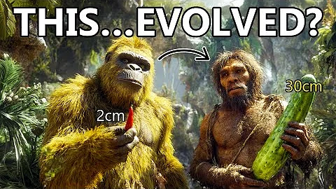 Human Evolution - Evolution Proconsul to Homo heidelbergensis: A 7-Million-Year Odyssey Through Time