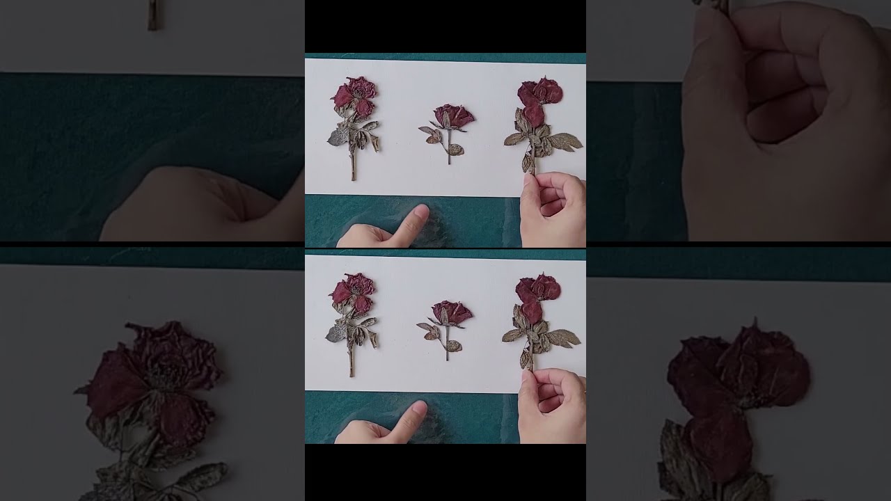 Dried Rose Framing | Easy DIY rose Frame | Dried flowers decor hacks