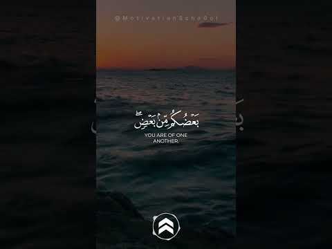 قران كريم اكسبلور شورت القرآن الكريم