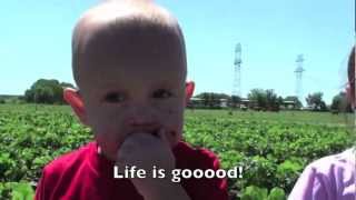 Granbury Texas U- Pick Strawberry Farm