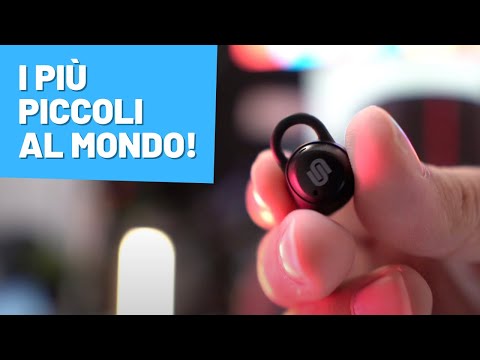 GLI AURICOLARI PIÙ PICCOLI DEL MONDO