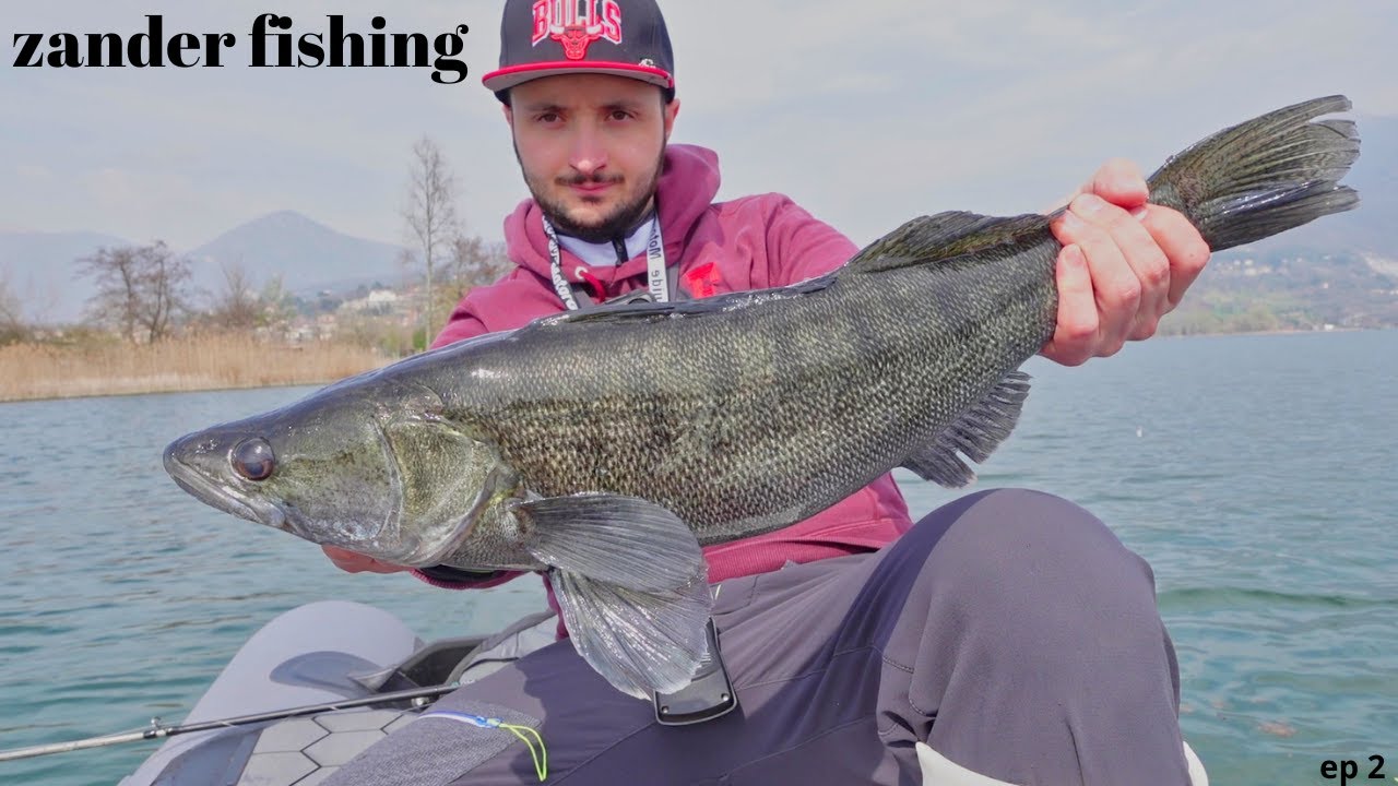 ZANDER Fishing  : Luccio Perca a SWIMBAIT