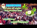 Sadhguru Shares a Funny Experience About Coconut Tree