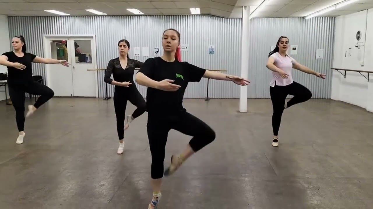 Adult Beginner Ballet Class