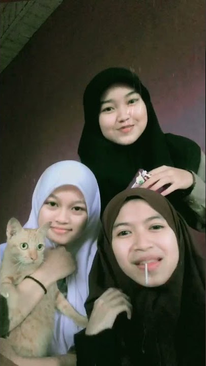 Story Kucing Orange Bareng Cewek Imut