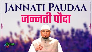 Jannati Paudaa | Hum Kya Karein 85 | Shaikh Sanaullah Madani | iPlus TV