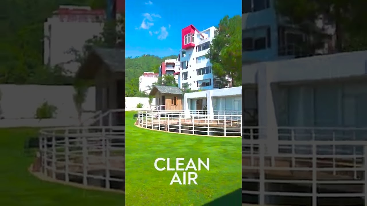 Why I chose Shoolini !