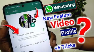 Whatsapp video profile picture | Whatsapp profile photo full size | whatsapp 5 tricks