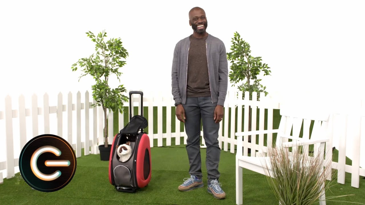 Top 5 Gadgets for your pet | The Gadget Show