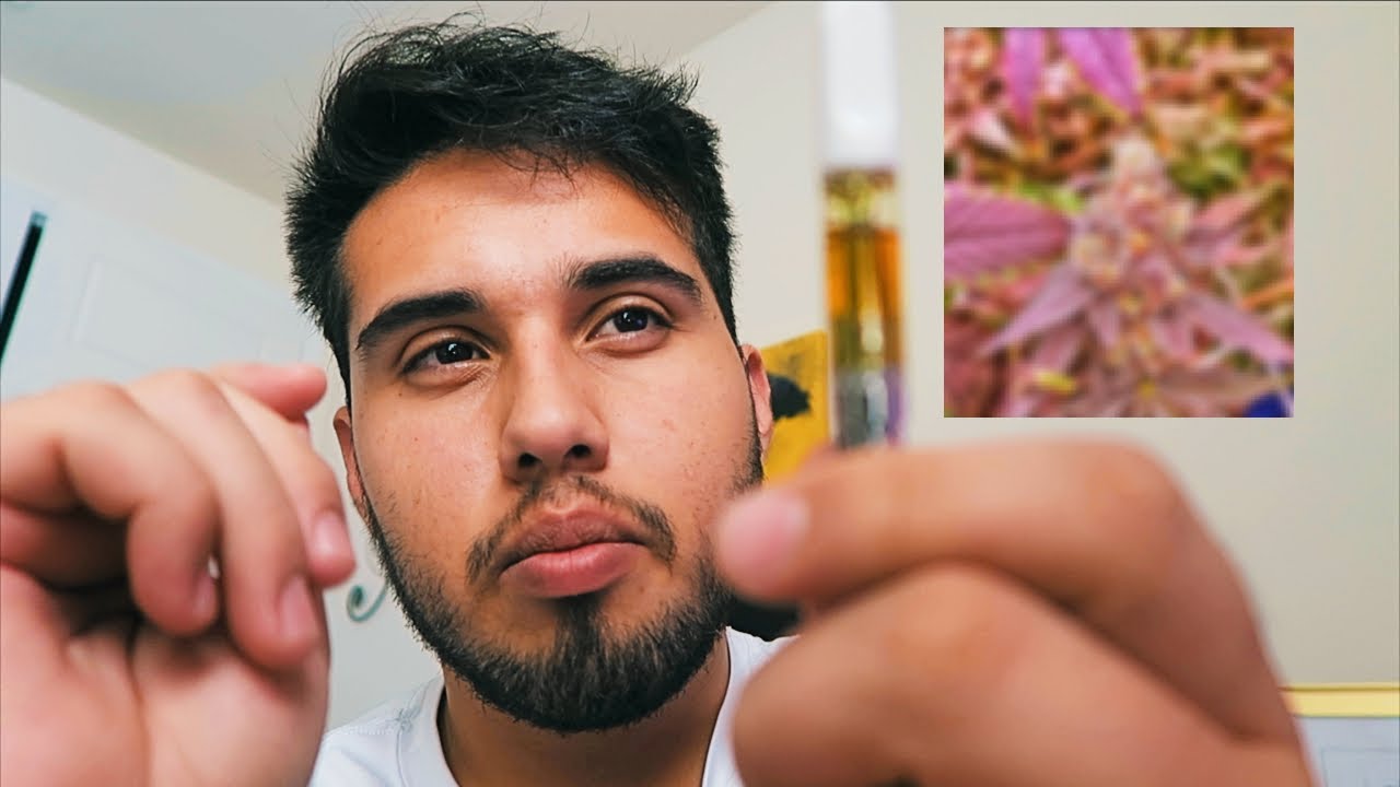 Cherry Tart Cart Review | Trulieve