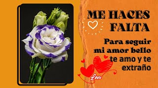 Para la persona que más amo, Dedicatorias Romanticas