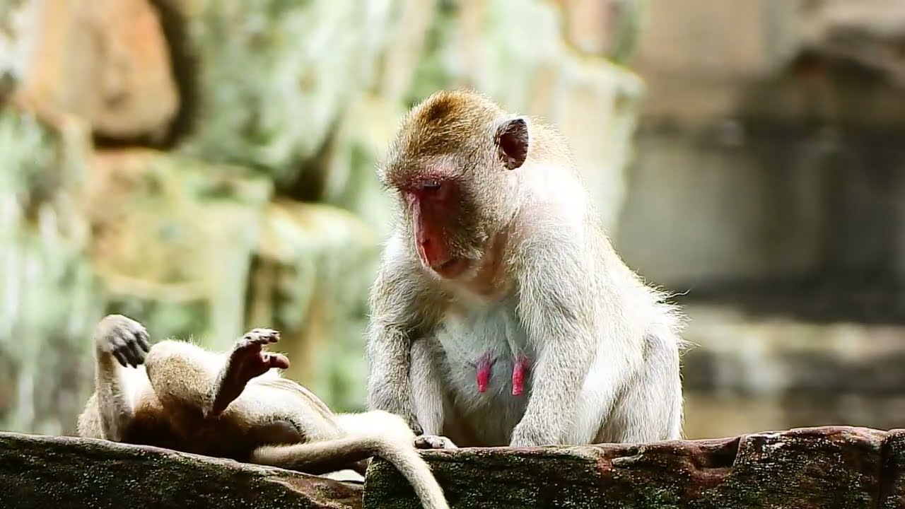 Cute Jane and Rose [ 11-July-2022/09:00AM ] #32