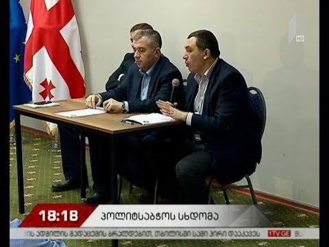 \"ევროპული საქართველოს\" პოლიტსაბჭოს სხდომა - რა საკითხები განიხილეს შეკრებილებმა