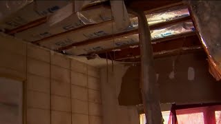 Hurricane Helene sends tree through roof of Casselberry home