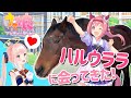 【ウマ娘】本物のハルウララに会いに行ってきたよ！ガチャも挑戦！！