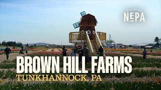 Brown Hill Farms | Tunkhannock, PA
