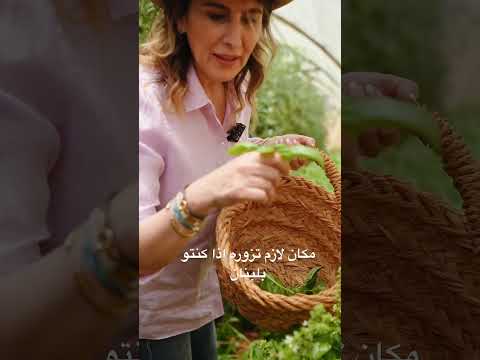 شبيه بالريف الإيطالي الحوش في البقاع و تحديدا في منطقة حوش الغنم يستحق الزيارة 