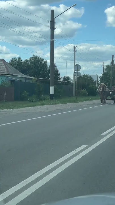 Город Уварово, Нюхаревка #лето, #погода, #тамбовскаяобласть - YouTube