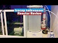 Icecap kalkwasser Reactor Review - Saltwater Aquarium Reef Tank Dosing