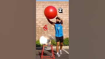 Fan Vs My Balls 🏀
