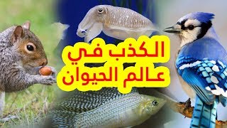 الكذب في عالم الحيوان