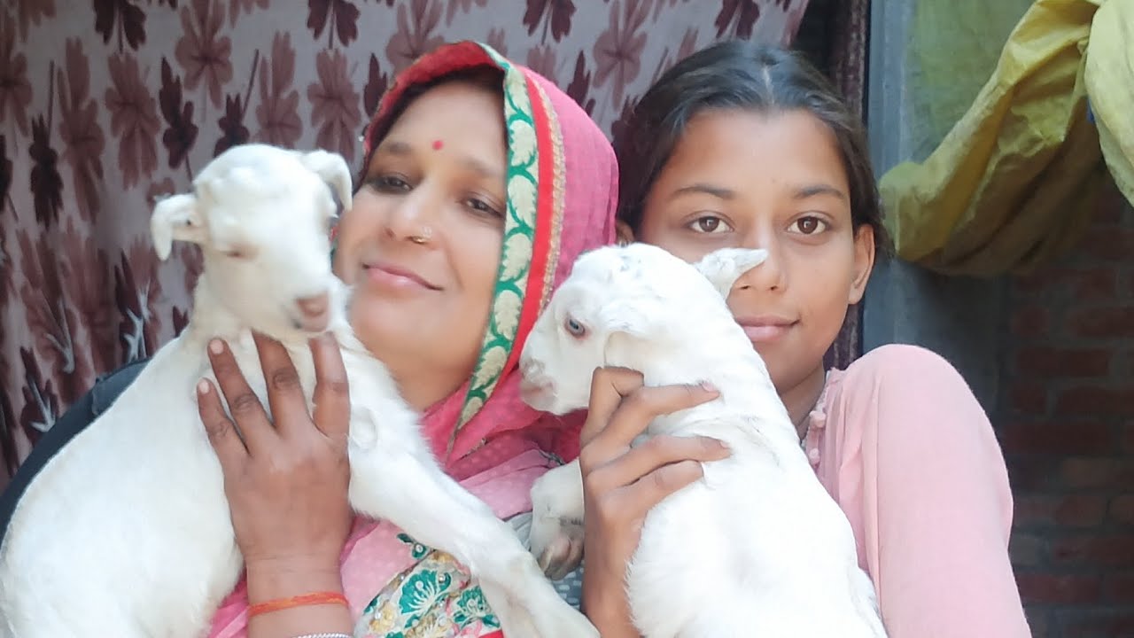 Aaj Ham logon Ne kabbu ke sath dher sari Masti ki🥰#desi  yadav vlogs #my village life 