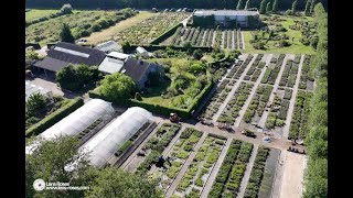 Lens Roses - Rose Nursery and webshop presentation