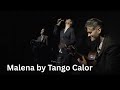 Malena Performed By Tango Calor