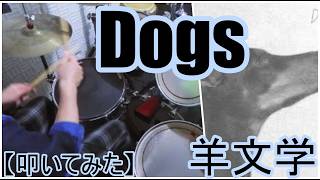 dogs - 羊文学