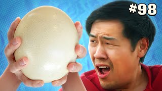 Eating a Giant Ostrich Egg  Safety Third 98