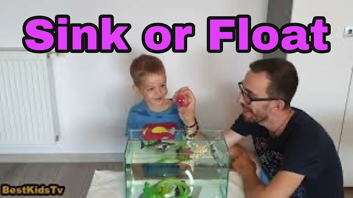 SE SCUFUNDA SAU PLUTESTE ? EXPERIMENT FACUT DUPA BLIPPI PENTRU COPII ACTIVITATI COPII