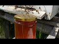 Kristalize Olan, Donan Balın Vitamin Değeri Yok Olmadan Ertimek#bal#bee#honey#doğa