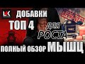 Спортивное питание: HMB - ГидроксиМетилБутират, GABA (ГАМК), Креатин, Омега 3. Лучшие добавки