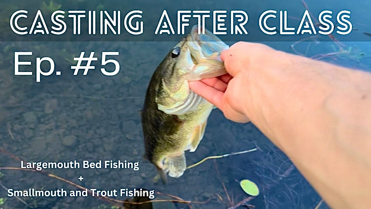 Bed Fishing For AGGRESSIVE Bass! Casting After Class E5 YouTube