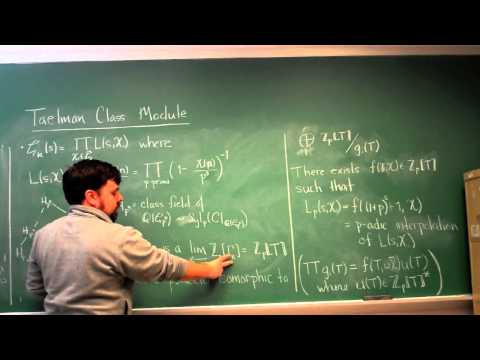 Lecture 4: Taelman's